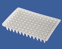 Microplaca para PCR, semi bordo - caixa com 10